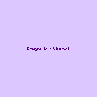 Art 5
