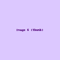 Art 6